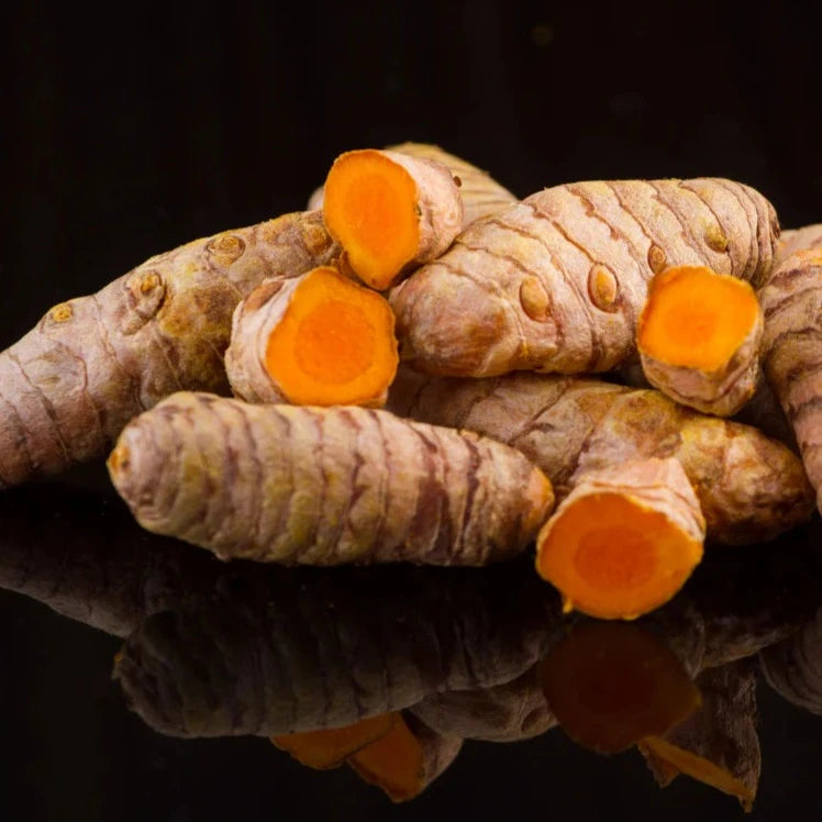 Kancha Holud / Raw Turmeric