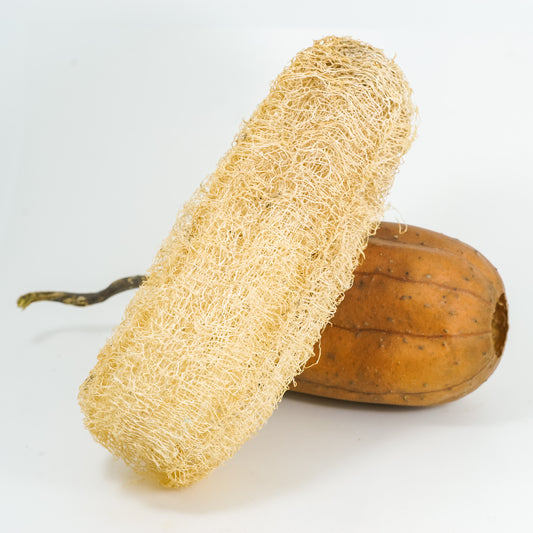 Natural Loofah sponge / Dhudhul