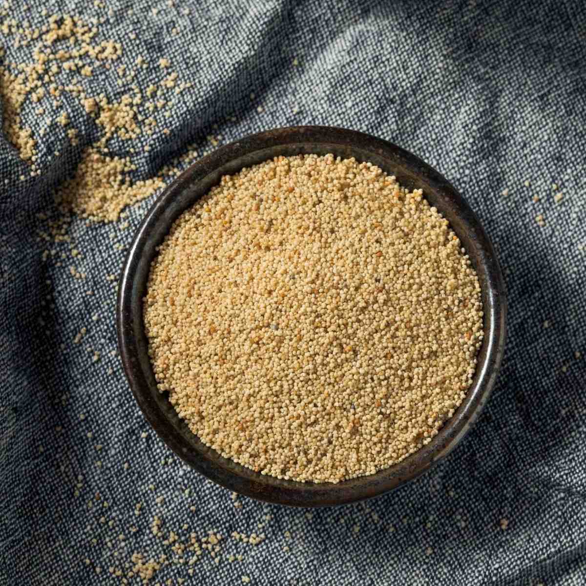 Premium Poppy Seeds